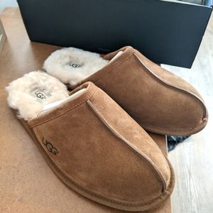 Men's UGG slippers "Scuff" in the color chestnut